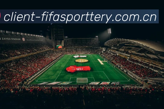 FIFA官方认证